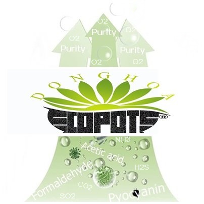 Symbol of absorbing toxic from Donghoa's flowerpot